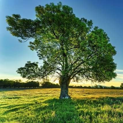 Photo d’Alain CLEMENT